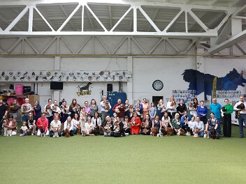 Slovak Cavalier Club Show
